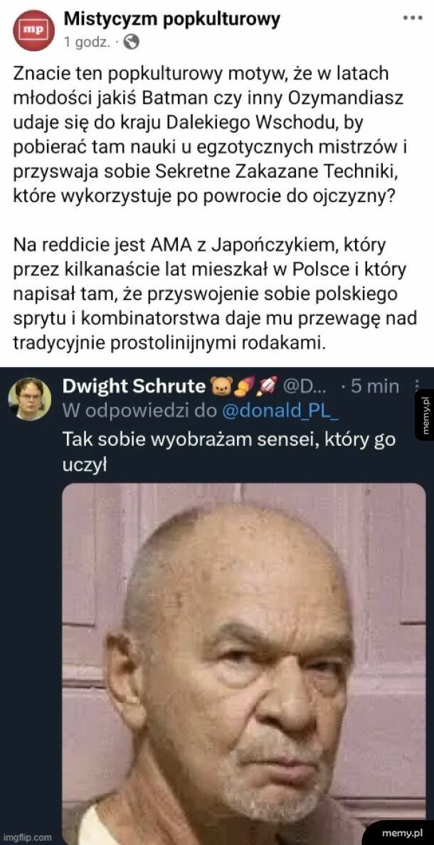 Polski sensei
