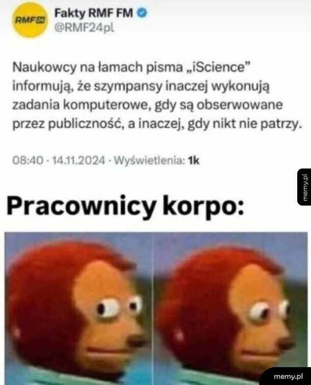 Pracownicy korpo