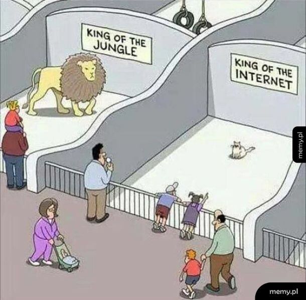 Zoo