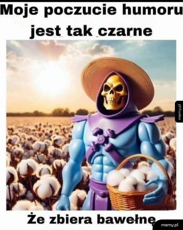 Poczucie humoru