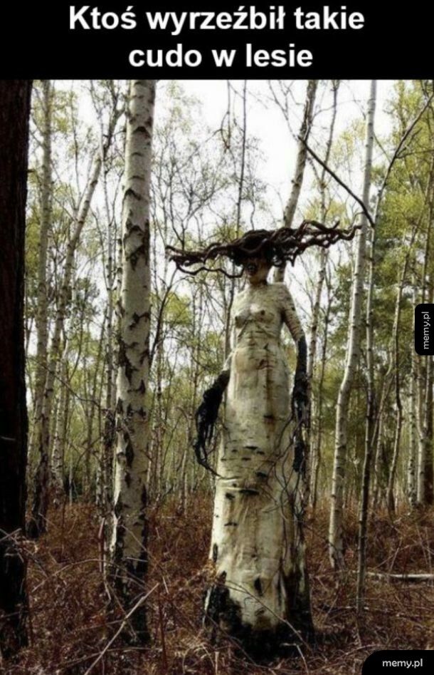 Piękne