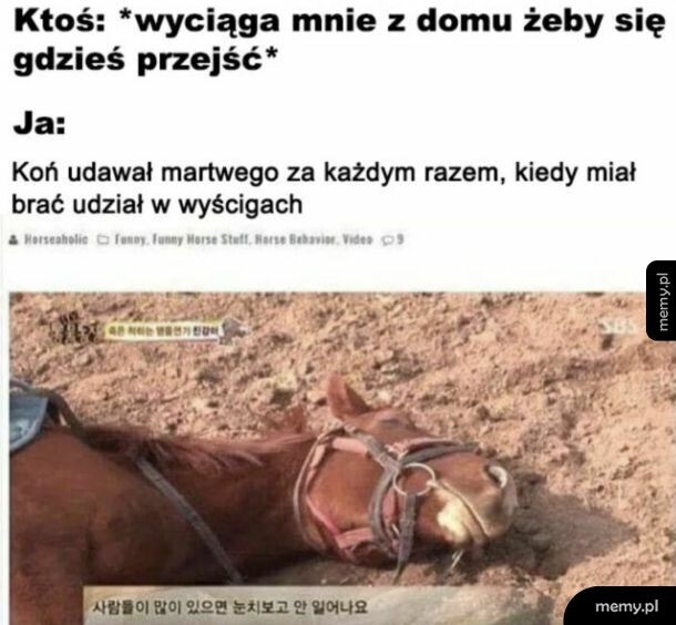Za każdym razem