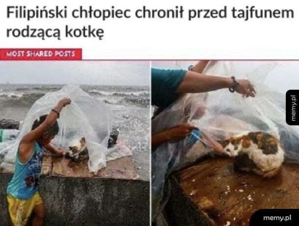Dobre serce