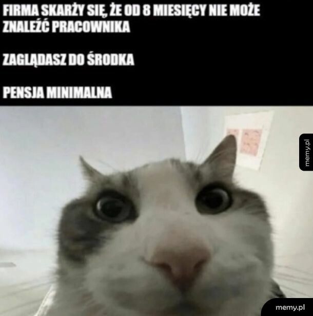 No tak