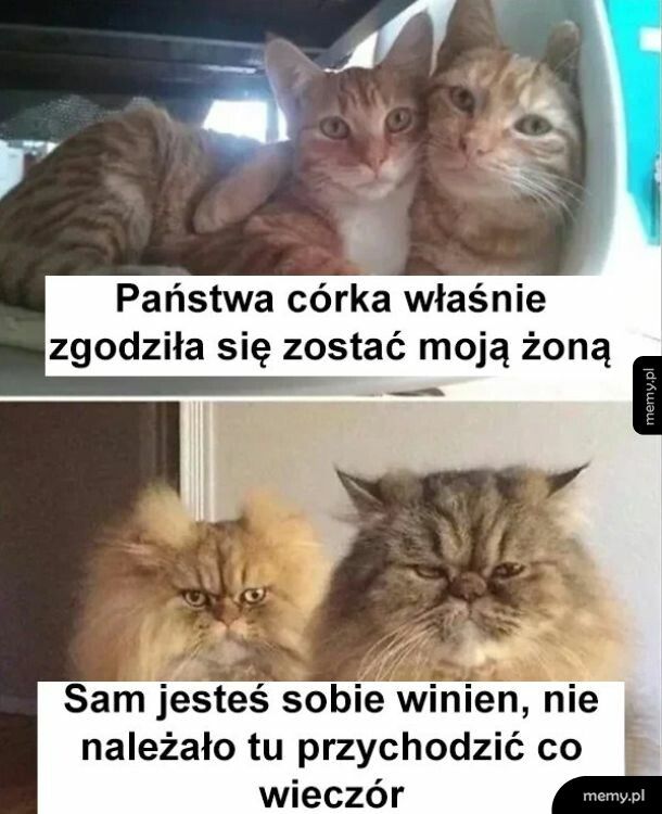 Sam żeś se wybrał to masz
