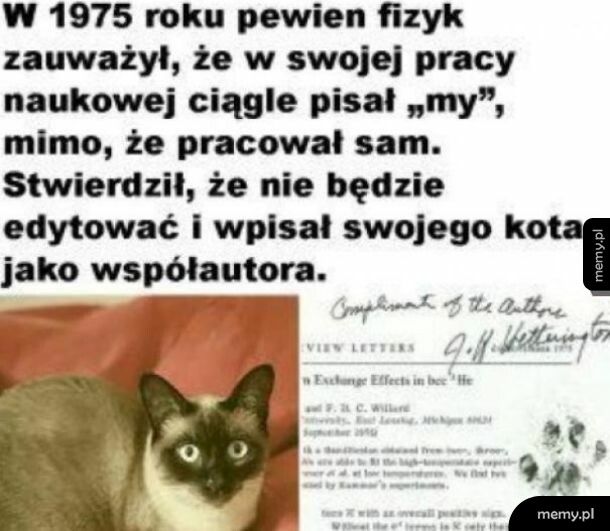 Współautor