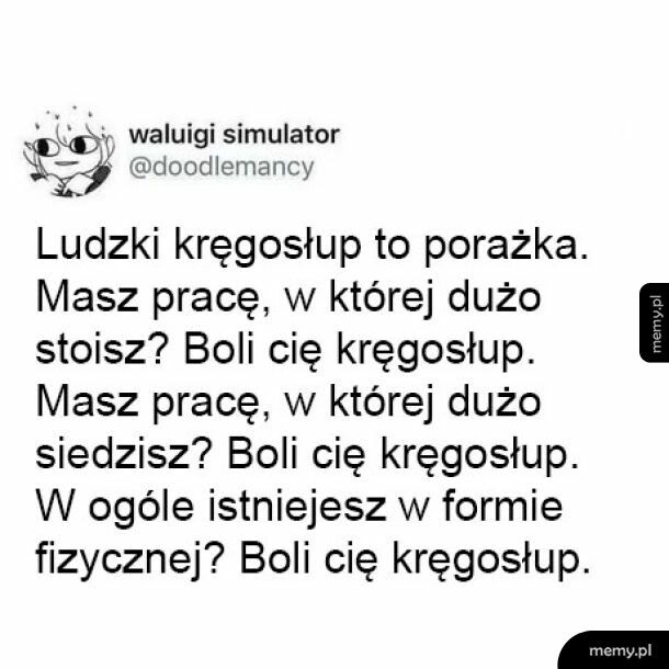Kręgosłup