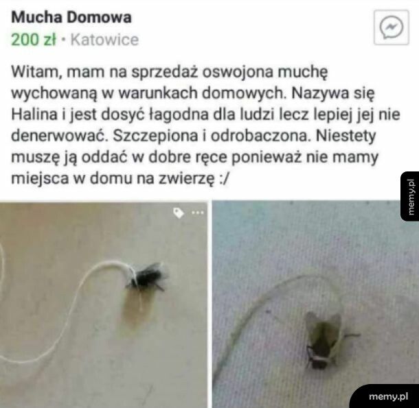 Trochę drogo