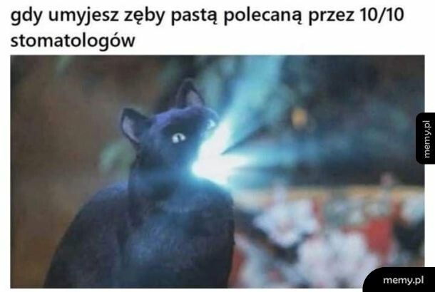 10/10