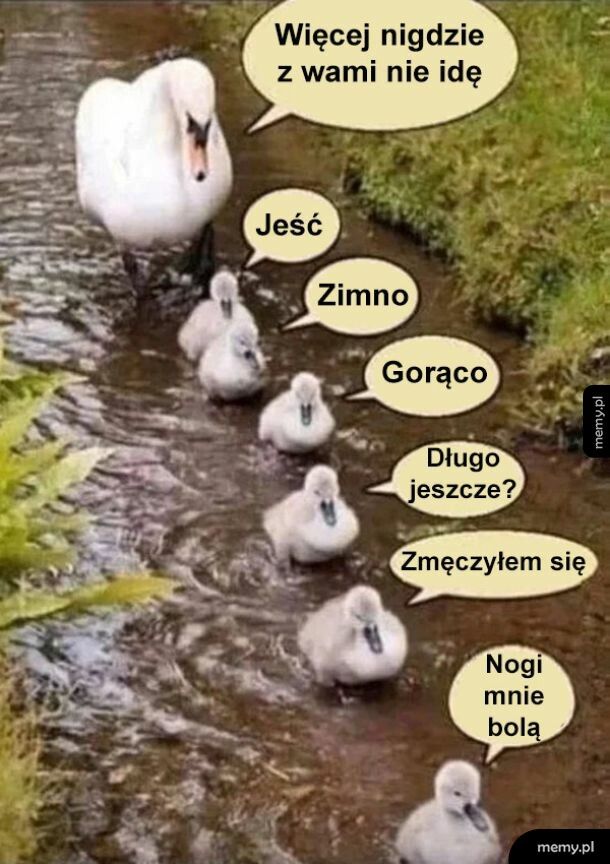 To był ostatni raz