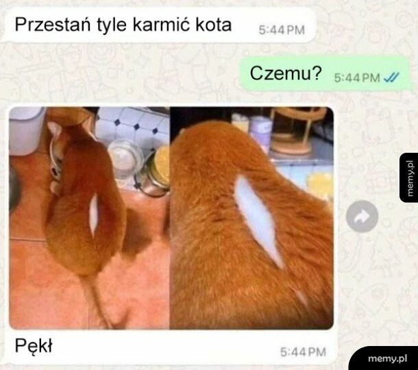 Rozpruł się