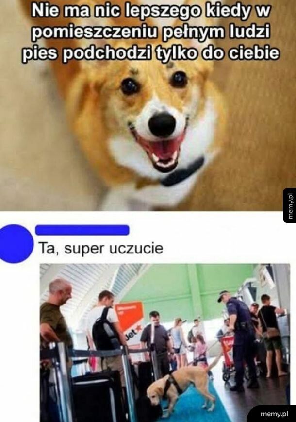 Mam mieszane uczucia