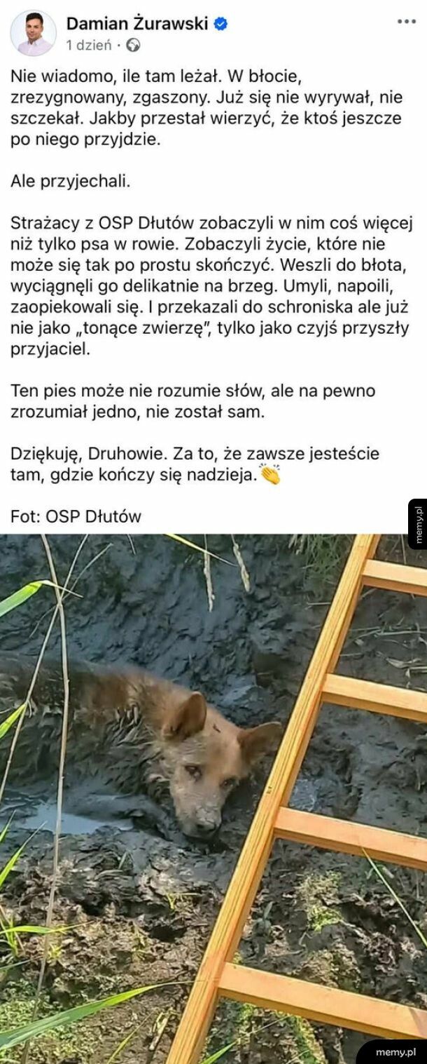 Ogromny szacunek dla strażaków, którzy uratowali psa
