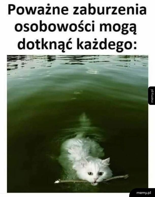 Osobowość