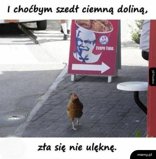 Tytuł