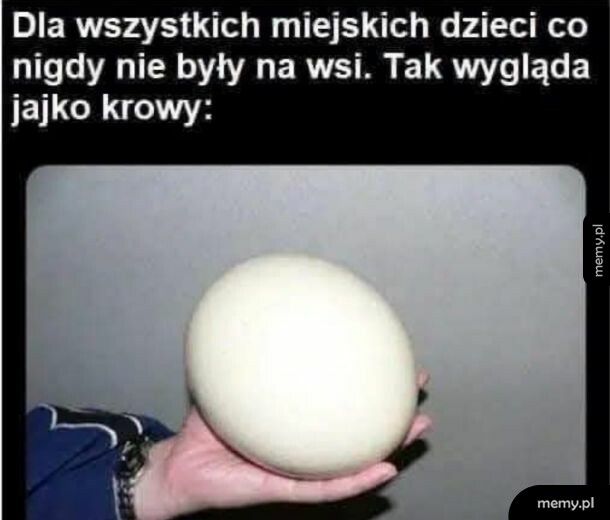 Jajko