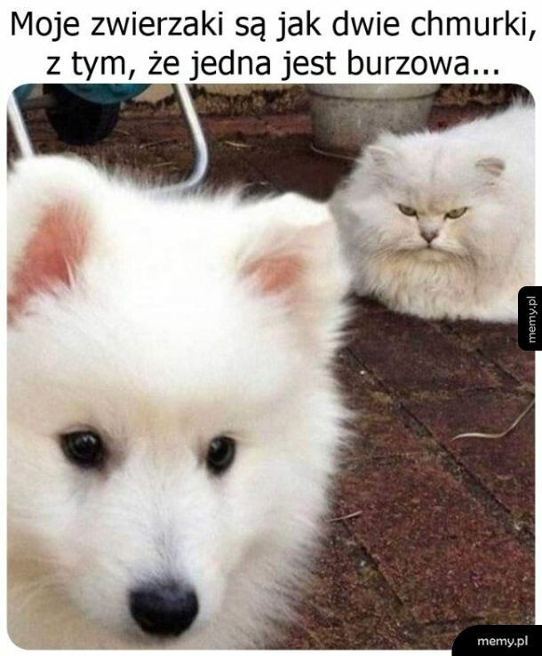 Chmurki