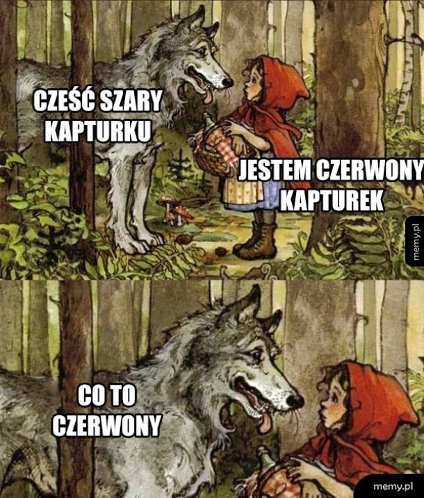 Szary kapturek