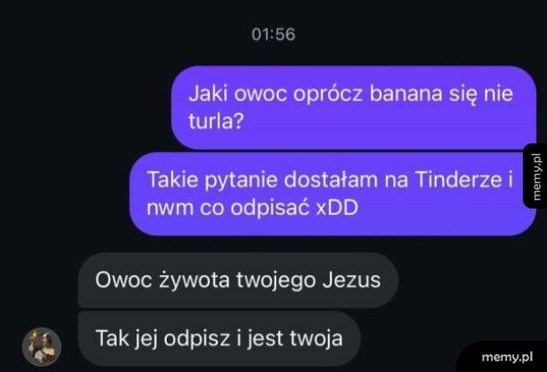Owoc