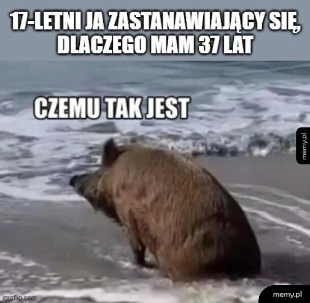 A to się porobiło