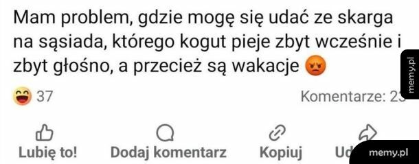 Prawdziwy problem