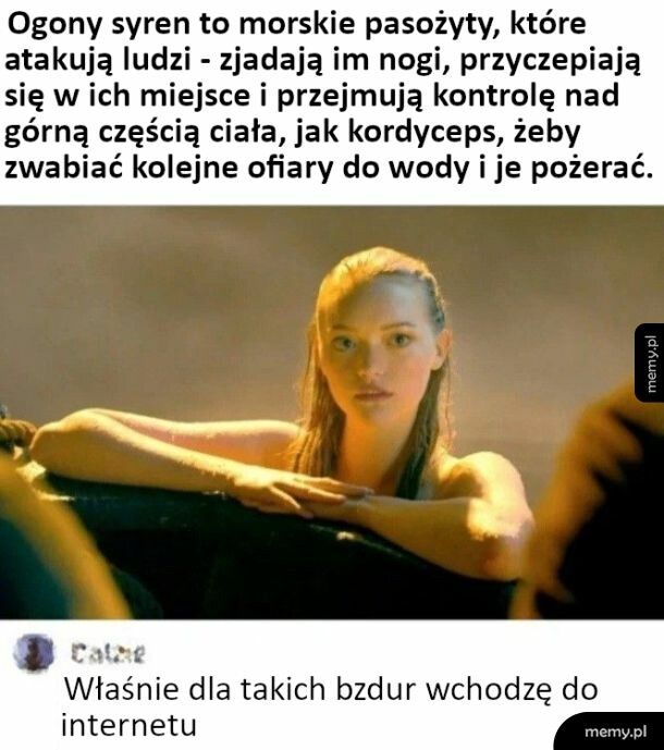 Po to płacę za internet