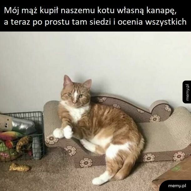 Dobry zakup