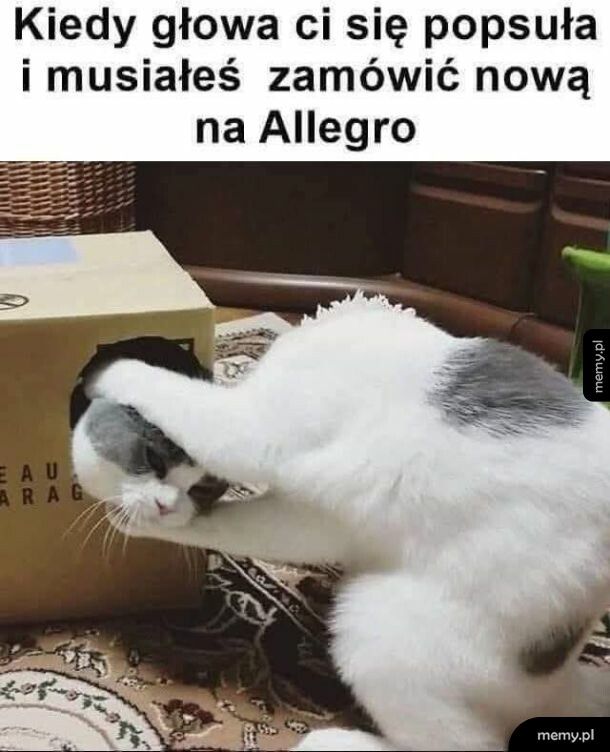 Kitku