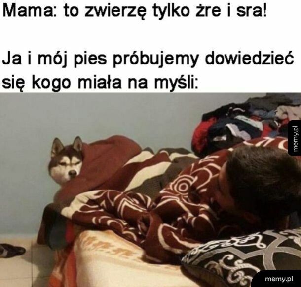 No ciekawe