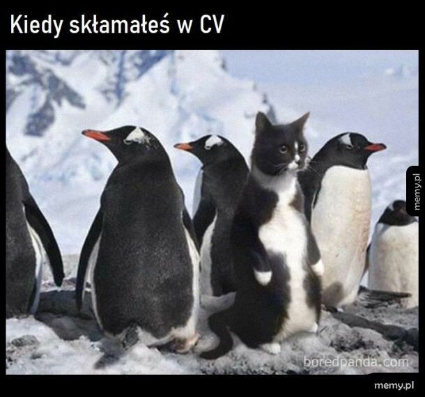 Udało się