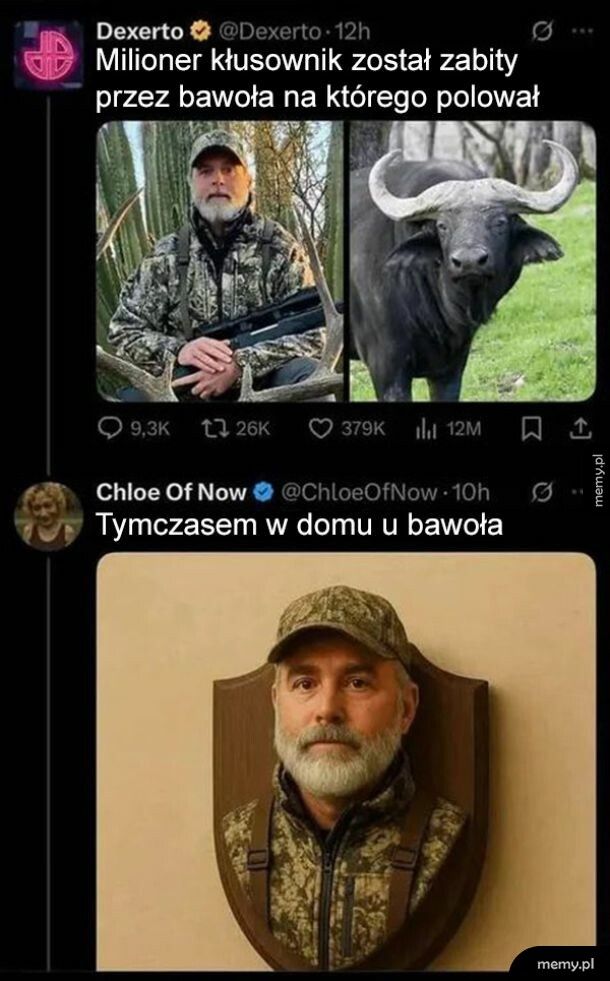 Tymczasem w domu bawoła