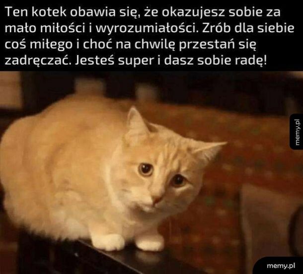 Nie obawiaj się kotku
