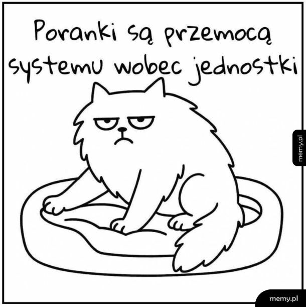 Coś w tym jest