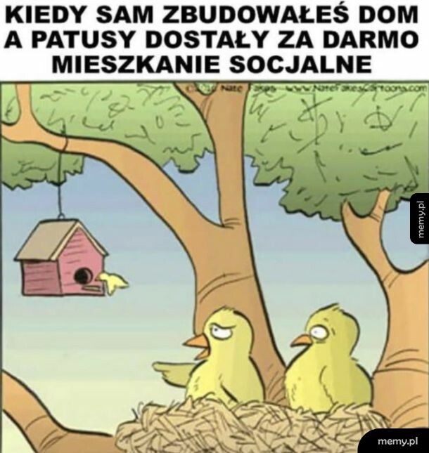 Niesprawiedliwość