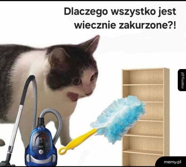 Dlaczego?