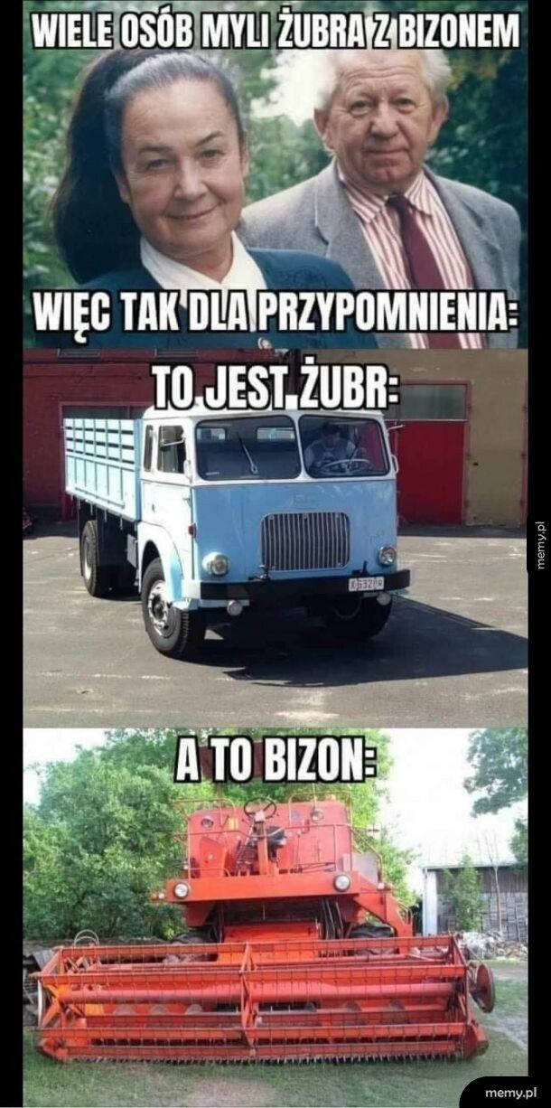 Różnica spora