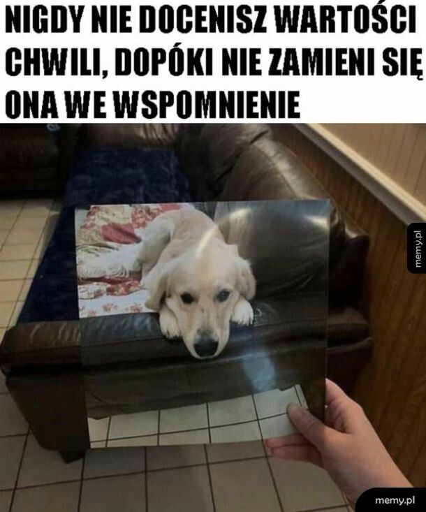 Niestety tak jest