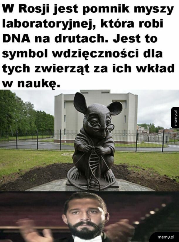Hołd dla myszek