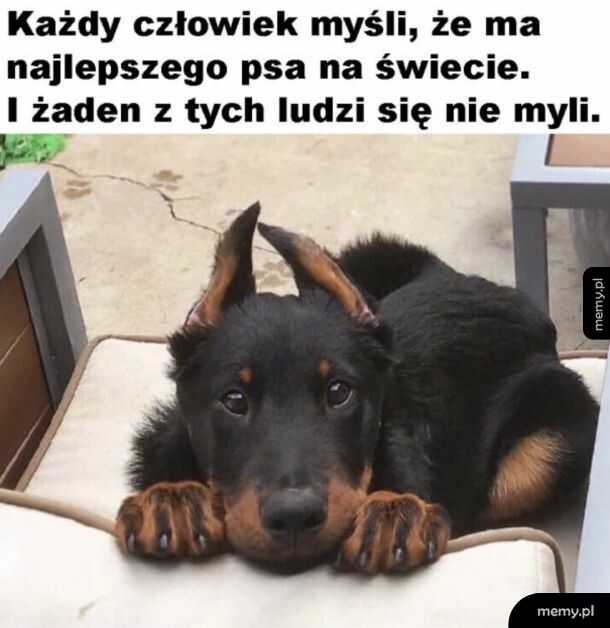 Prawda