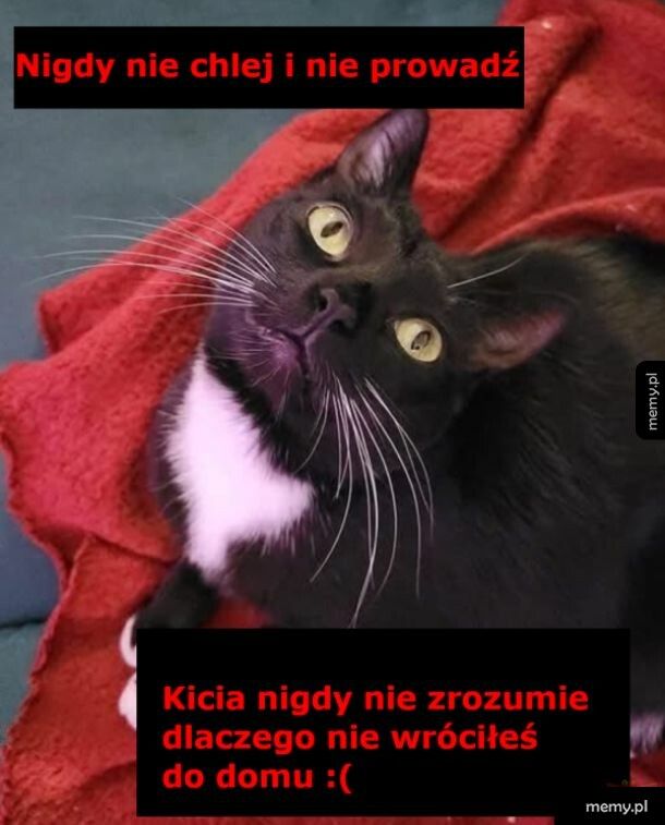Prawda