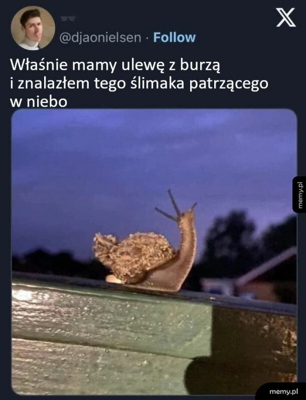 Burza