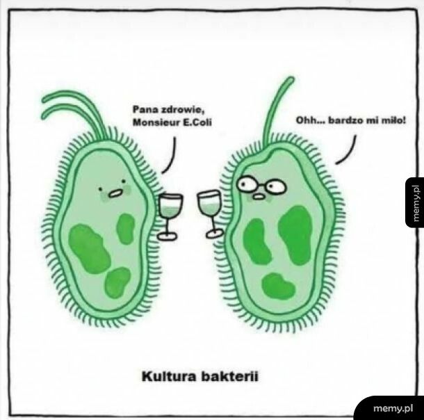 Kultura