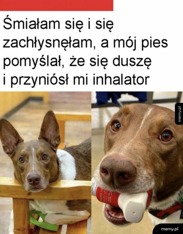 Jaki kochany