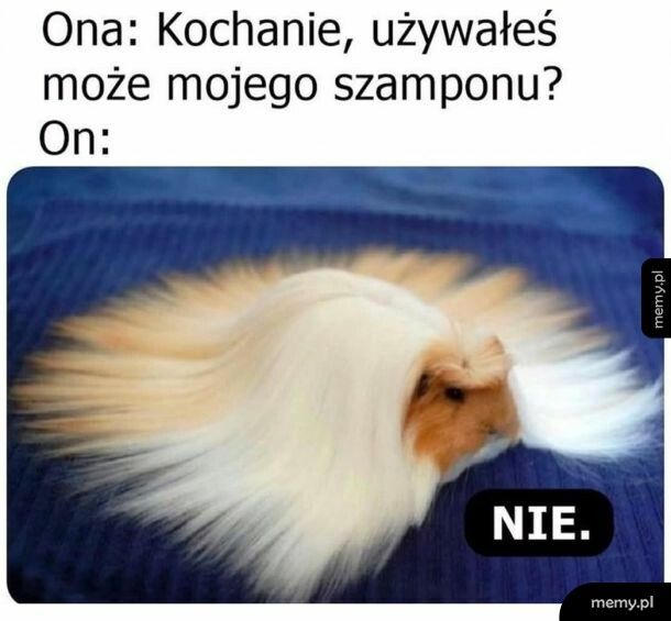 Nie używał