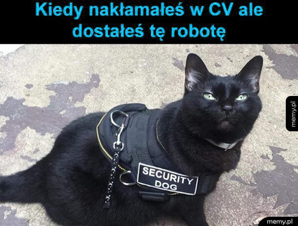 Trzeba stwarzać pozory