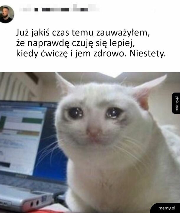 Niestety