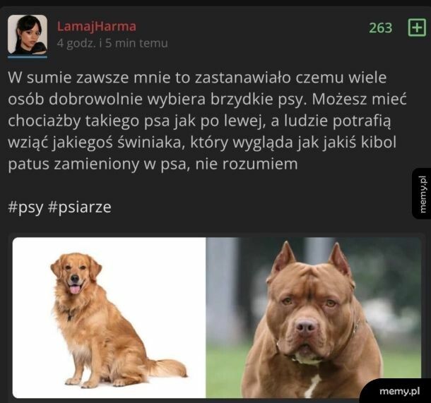 obydwa są piękne