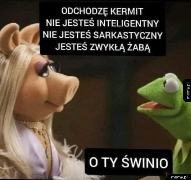 Świnia