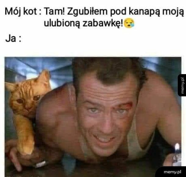 Poszukiwania