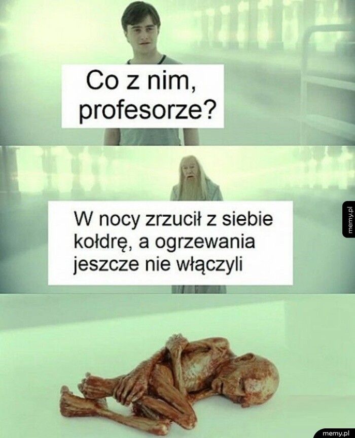 Zamarzł
